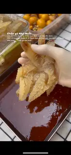Hình ảnh Sứa chân mèo