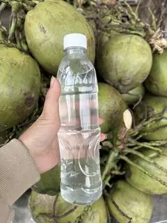 Hình ảnh Nước dừa xiêm đóng chai(0,5lit)