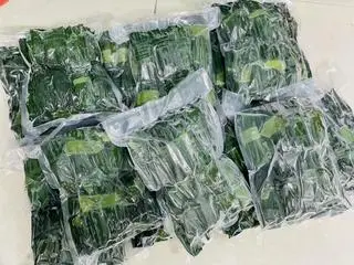 Hình ảnh Combo 10 bánh bột lọc đông lạnh (bánh sống)