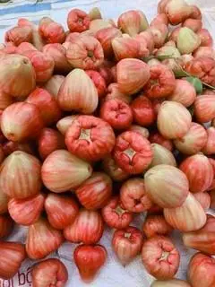Hình ảnh MẬN HỒNG ĐÀO (nguyên trái 1KG)