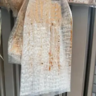 Hình ảnh Bánh tráng dài thòn