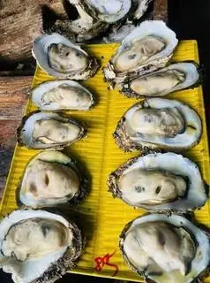 Hình ảnh Hàu Nướng Mọi