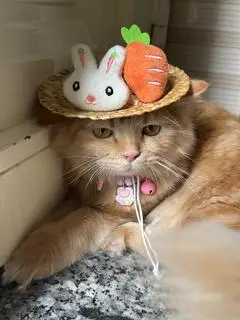 Hình ảnh Ship đêm đâyyy
