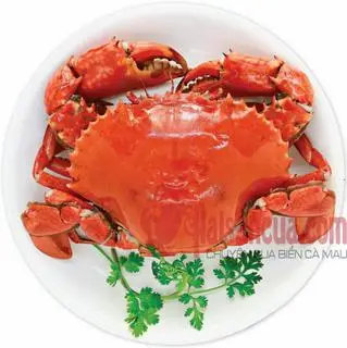 Hình ảnh Cua gạch hấp size lớn 300g