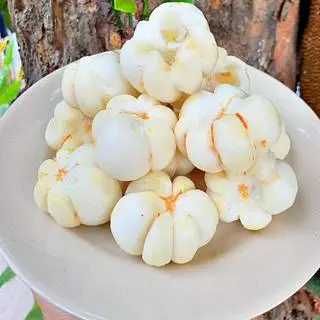 Hình ảnh Cốc măng cụt bóc sẵn ướp đá (250gr)
