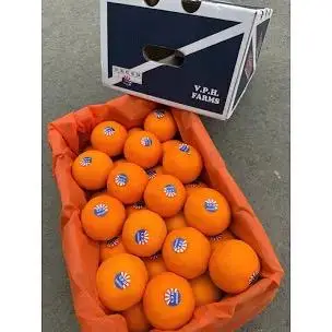Hình ảnh Quýt Úc