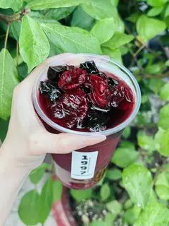 Hình ảnh Trà Hoa Atiso Đỏ