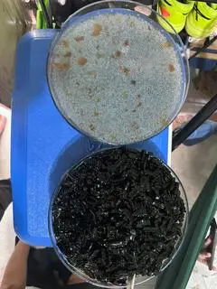 Hình ảnh sương sáo, hột é