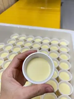 Hình ảnh sữa chua phô mai Đà Lạt