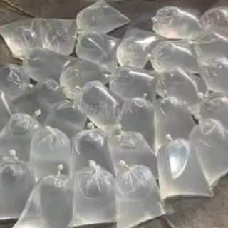Hình ảnh 1 Lít Nước Dừa Xiêm 