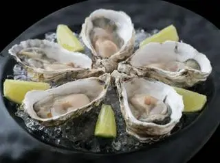 Hình ảnh Hàu sữa