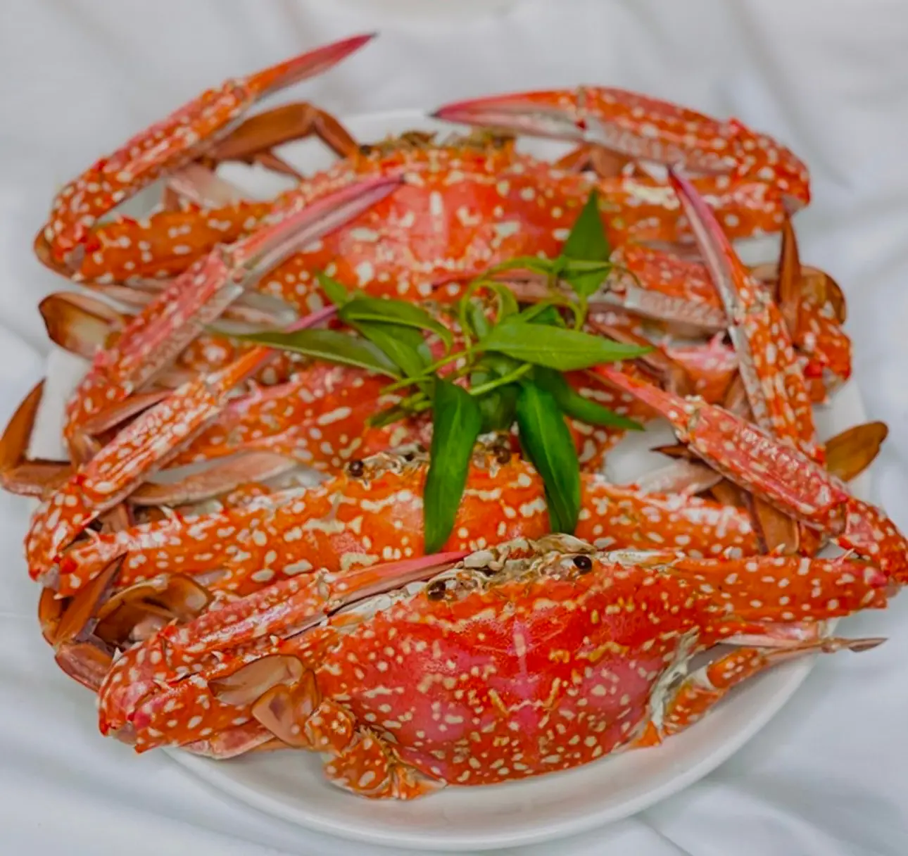 Hình ảnh 1 Ghẹ Biển Hấp Sả - Size Lớn ( Loại 1 )