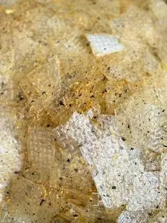 Hình ảnh Bánh tráng rog biển