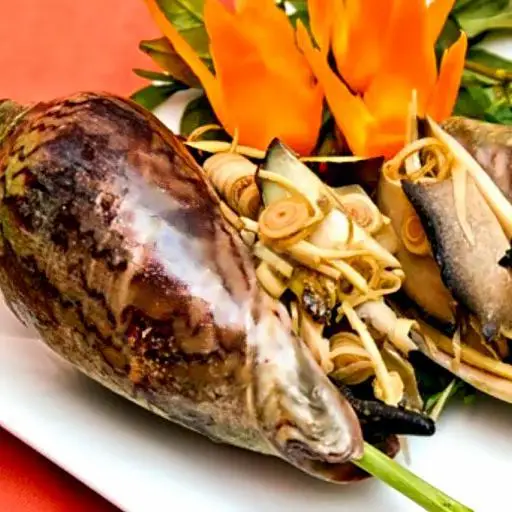 Hình ảnh Ốc giác hấp xả