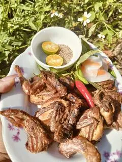 Hình ảnh combo 5 con