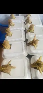 Hình ảnh Combo gà cúng - cháo, gỏi