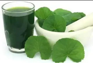 Hình ảnh Sinh tố rau má đậu nành
