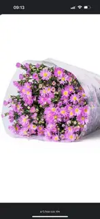 Hình ảnh SĐT Quán 0978 069 831