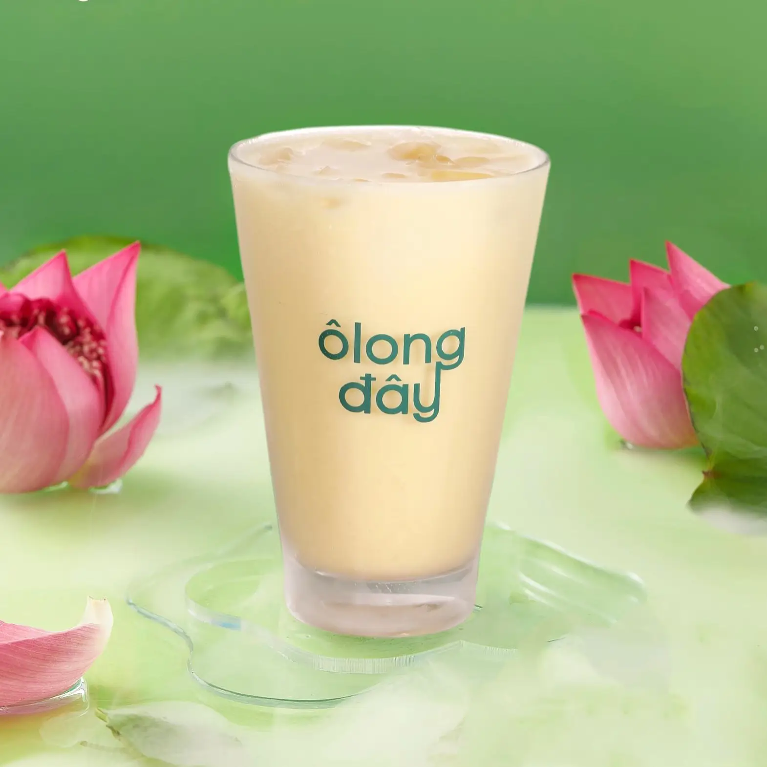 Hình ảnh Ôlong sen sữa