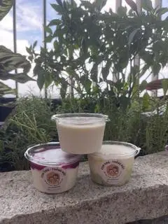 Hình ảnh Combo sữa chua bá cháy bọ chét - 3 Hũ