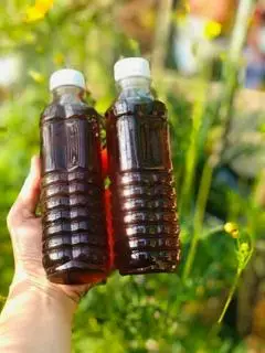 Hình ảnh nước sâm nhà nấu
