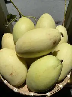Hình ảnh Xoài Keo Mắm Ruốc