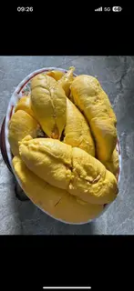 Hình ảnh 1,5kg sầu riêng musang king tách sẳn 1,5kg