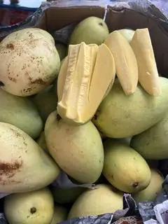 Hình ảnh Xoài Tứ Quý - 350g