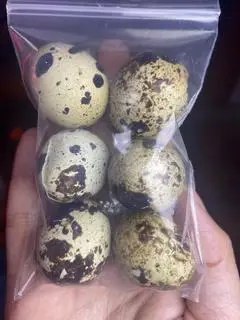 Hình ảnh Thêm Trứng Cút