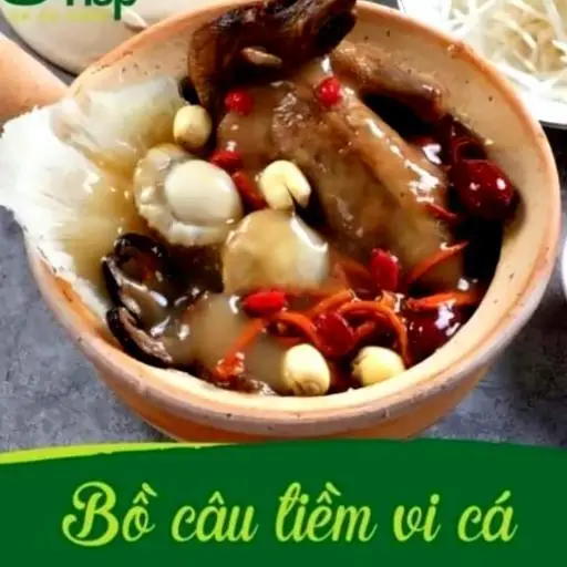 Hình ảnh Bồ câu tiềm vi cá 