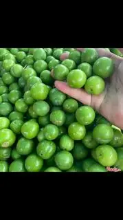 Hình ảnh mận cơm 500g + MUỐI CHẤM NGON 