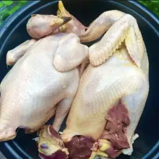 Hình ảnh Gà tre lớn (1 con)