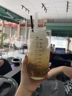 Hình ảnh sấu đá hà nội