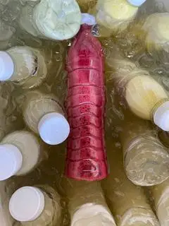 Hình ảnh Mix củ dền thơm cần tây 