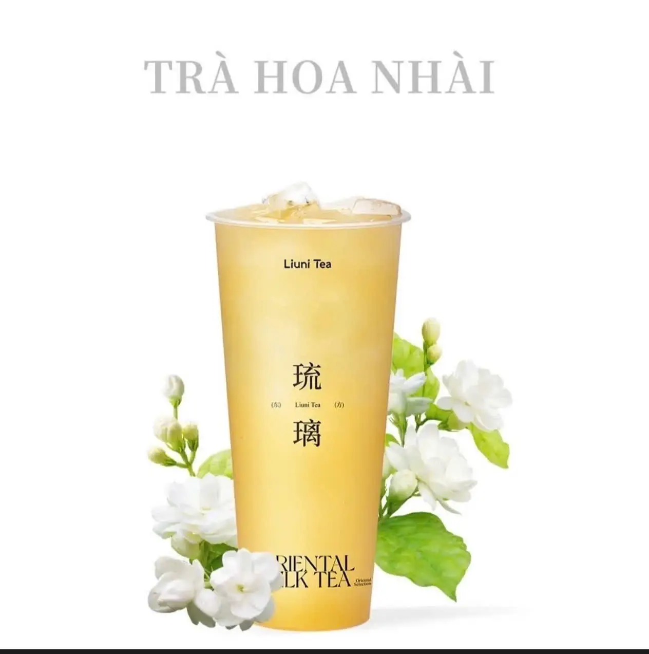Hình ảnh Trà Hoa Nhài