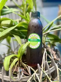 Hình ảnh Sâm mát gan 12 vị