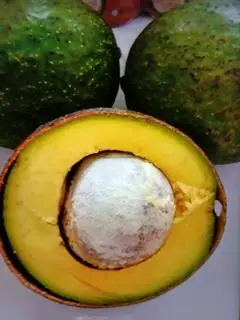 Hình ảnh Sinh tố bơ+ sầu riêng 