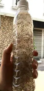 Hình ảnh Nha đam hạt chia
