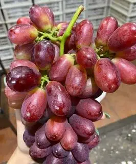 Hình ảnh  Nho Đỏ ko hạt 200gr