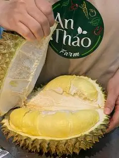 Hình ảnh Sầu Riêng Thái Hữu Cơ - 1kg
