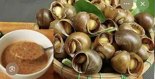 Hình ảnh ốc lát hấp nữa kg 