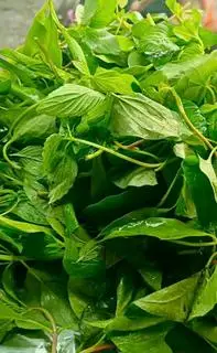 Hình ảnh Rau sống