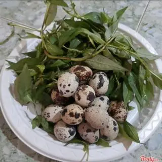Hình ảnh 5 trứng cút - rau răm