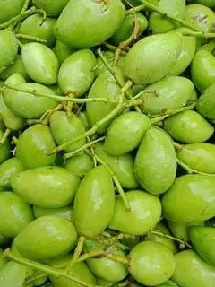Hình ảnh Xoài non cát chu  chưa gọt 500g