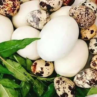 Hình ảnh Trứng Chấm Sốt Kèm Rau 