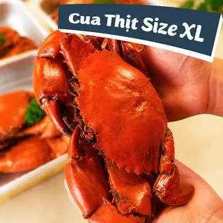 Hình ảnh Cua Thịt Size (XL)