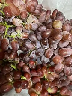 Hình ảnh khay Nho Rupy 