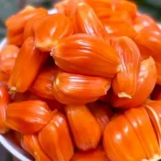 Hình ảnh Mít Đỏ