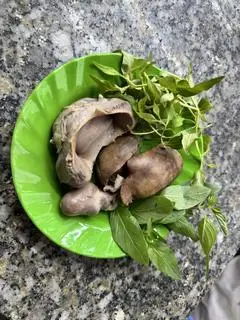 Hình ảnh 1 bộ lòng