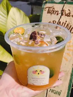 Hình ảnh Trà xí muội